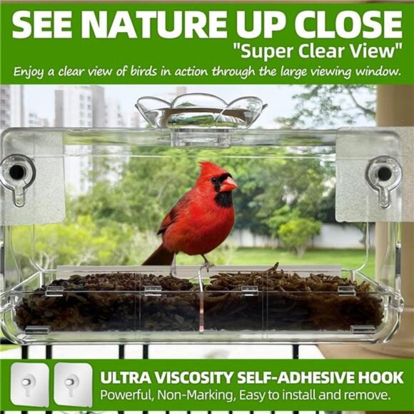 Window Bird Feeder with Non-Marking Self-Adhesive Hooks, Clear and Transparent - Picture 3 of 7